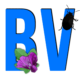 BiotifulVie logo