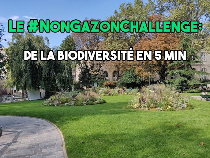 Le #NonGazonChallenge: la biodiversité au jardin en moins de 5 min